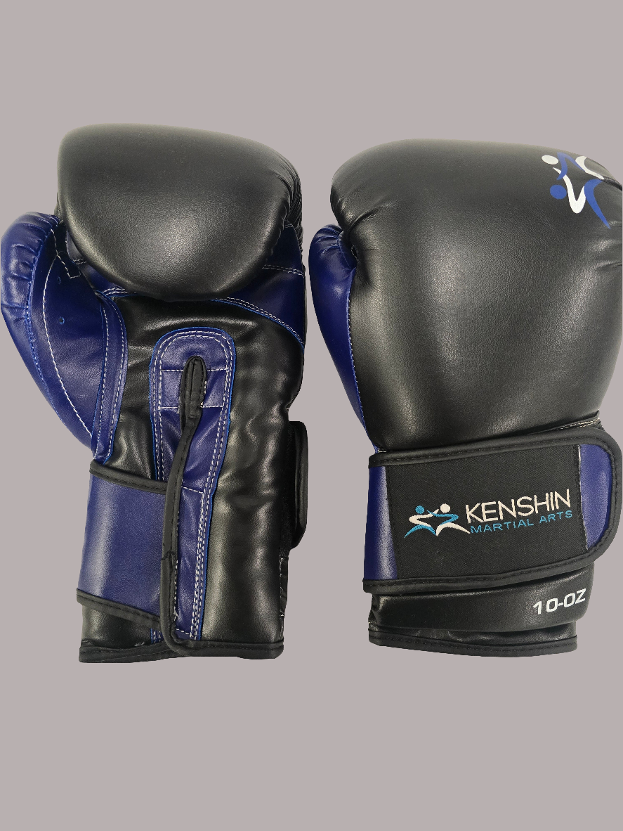 10oz Training Boxing gloves