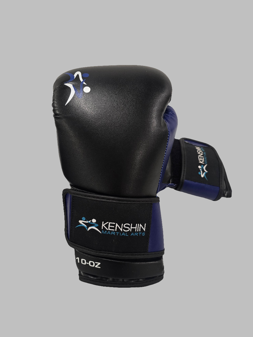 10oz Training Boxing gloves