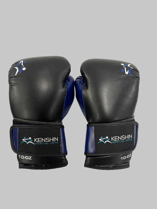 10oz Training Boxing gloves
